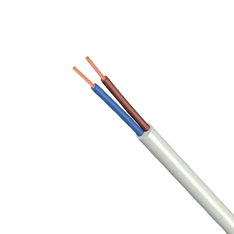 H03VV-F Cable Appareillage 2X0,5mm2